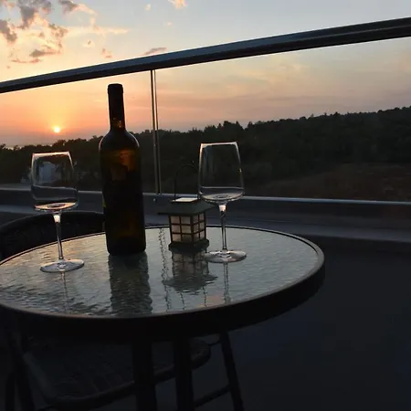 Delfin Lanterna Tar-Vabriga