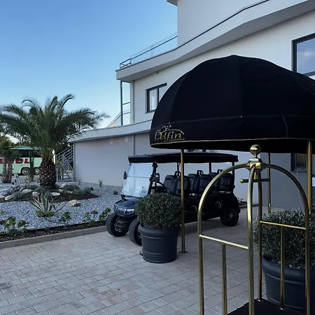 Delfin Lanterna Tar-Vabriga