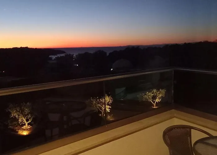 Delfin Lanterna Tar-Vabriga