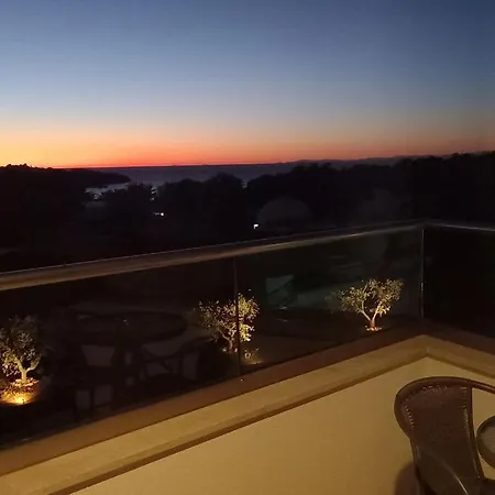 Delfin Lanterna Tar-Vabriga